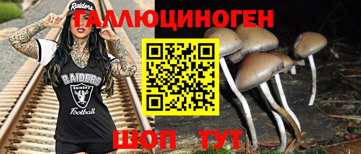 Псилоцибиновые грибы GOLDEN TEACHER Сегежа