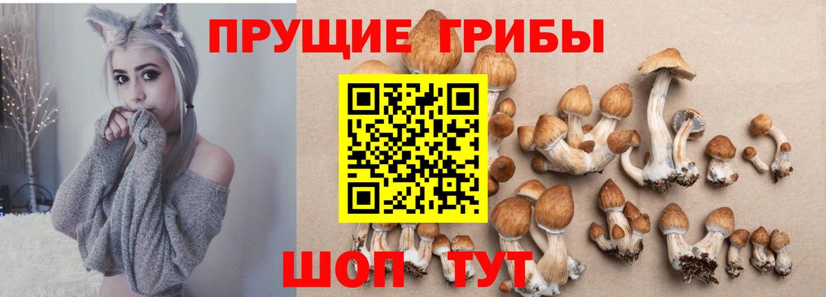 Сегежа  Галлюциногенные грибы ЛСД  Вход с VPN  Псилоцибиновые грибы Psilocybine cubensis 